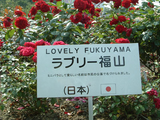 ラブリー